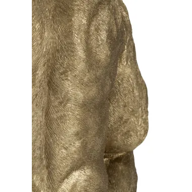 GORILLA GOLD 64 53 82 cm
